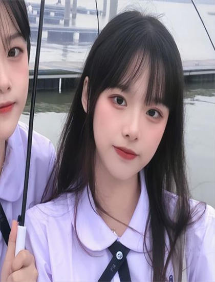 《人中龙》有哪些精彩看点？亮点情节详细解析